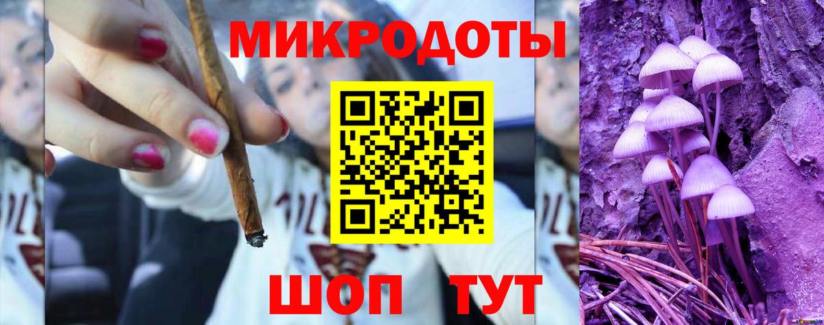 Калининград  Галлюциногенные грибы прущие грибы  Вход с VPN 